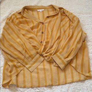 Cropped Flowy stripped blouse